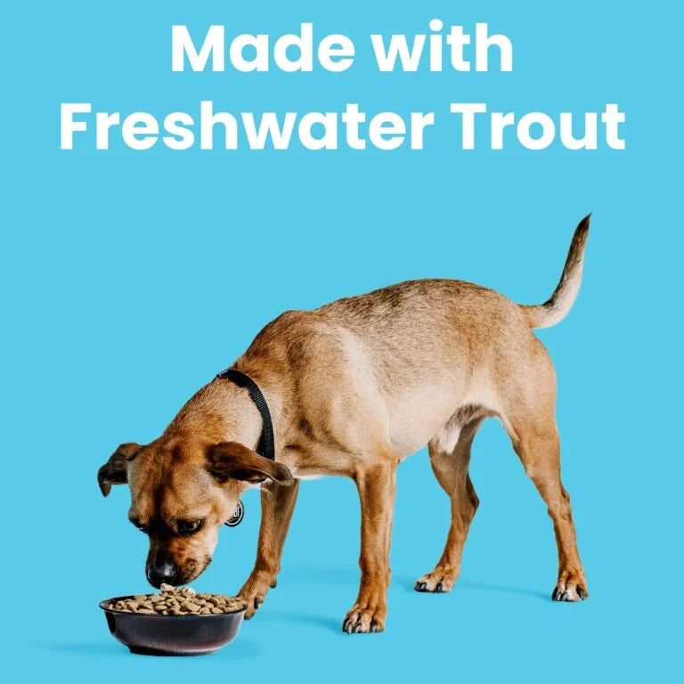 Liberty® Dry Food for Dogs – Fisherman’s Catch