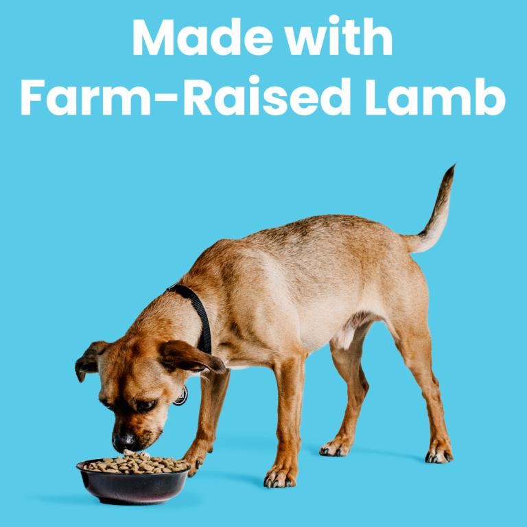 Liberty® Dry Food for Dogs – Lamb Recipe