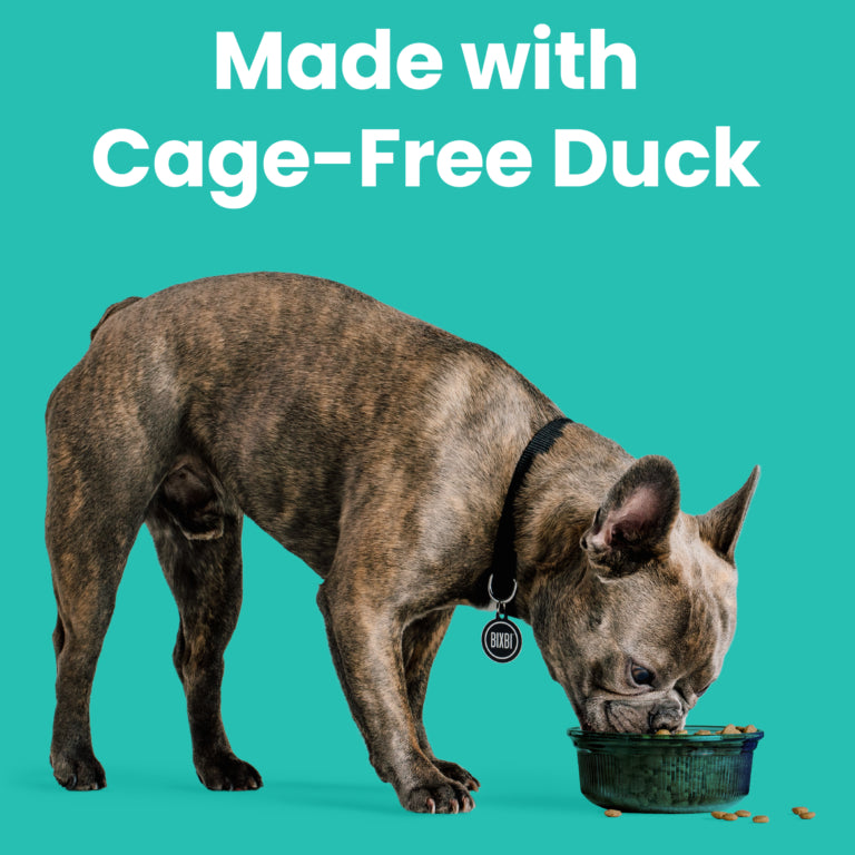 Rawbble® Dry Food for Dogs – Duck Recipe
