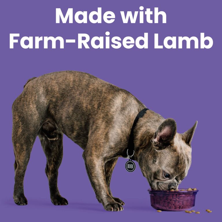 Rawbble® Dry Food for Dogs – Lamb Recipe