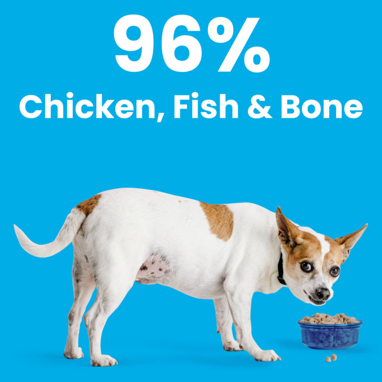 Rawbble® Freeze-Dried Food for Dogs – Chicken & Salmon Recipe