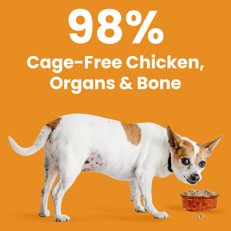 Rawbble® Freeze-Dried Food for Dogs – Chicken Recipe