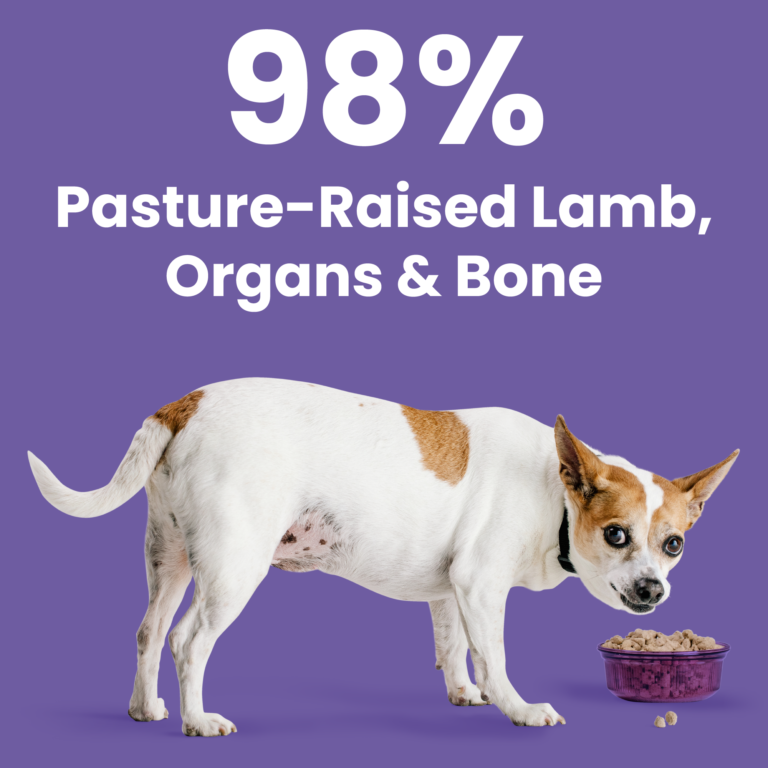 Rawbble® Freeze-Dried Food for Dogs – Lamb Recipe
