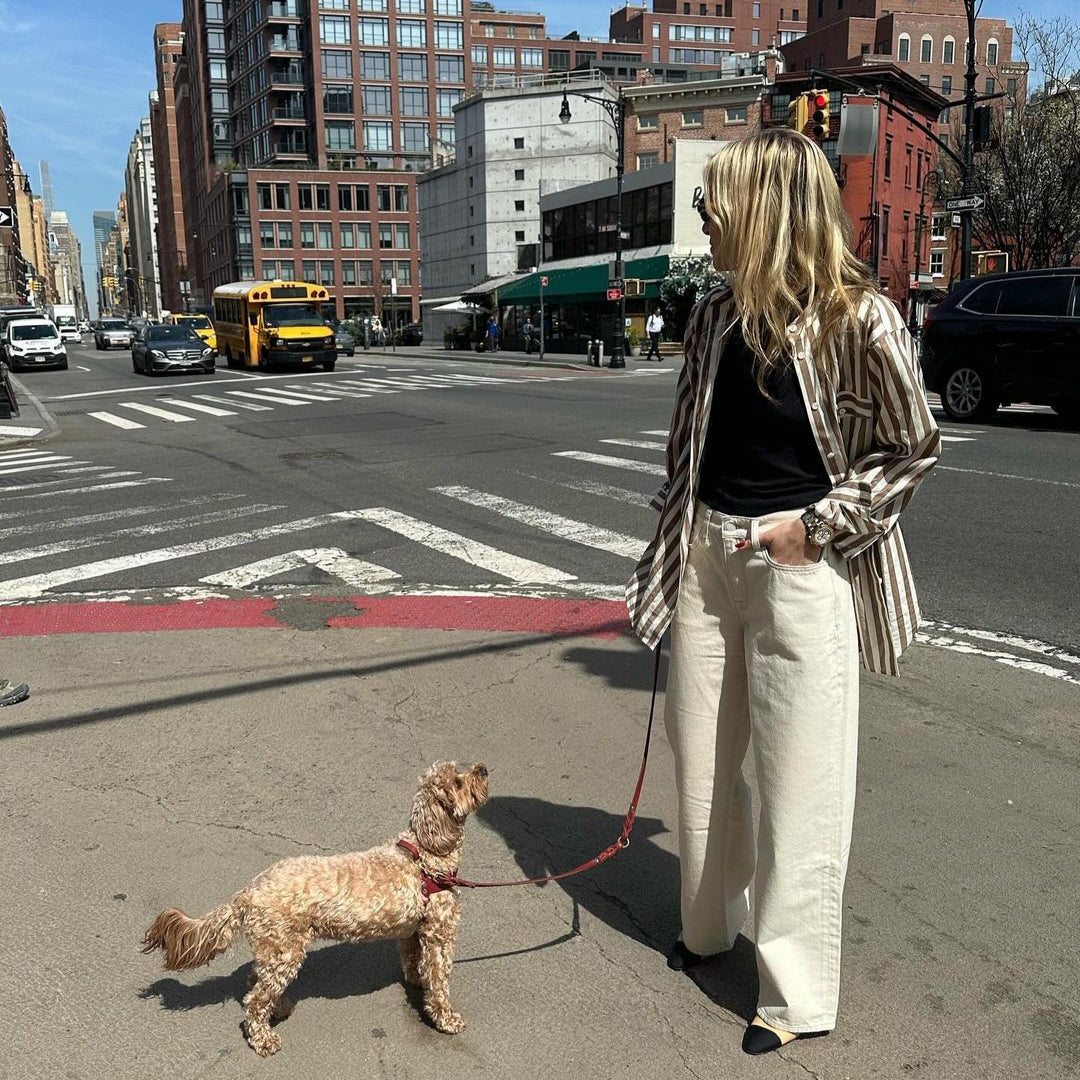 Woman walking a dog on a leash in an urban setting with buildings and traffic in the background.