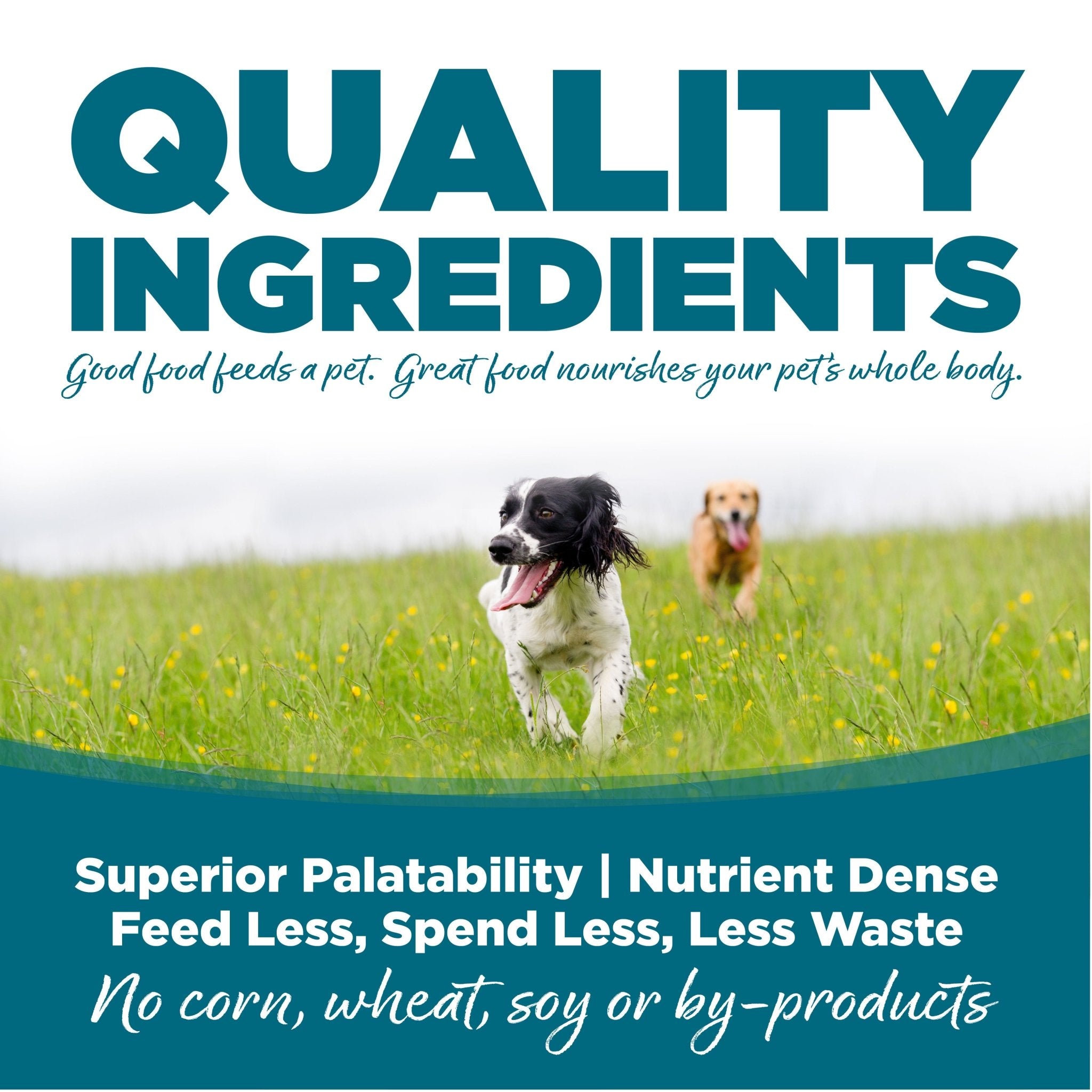 Adult Chicken & Rice - Eva Pet - NutriSource