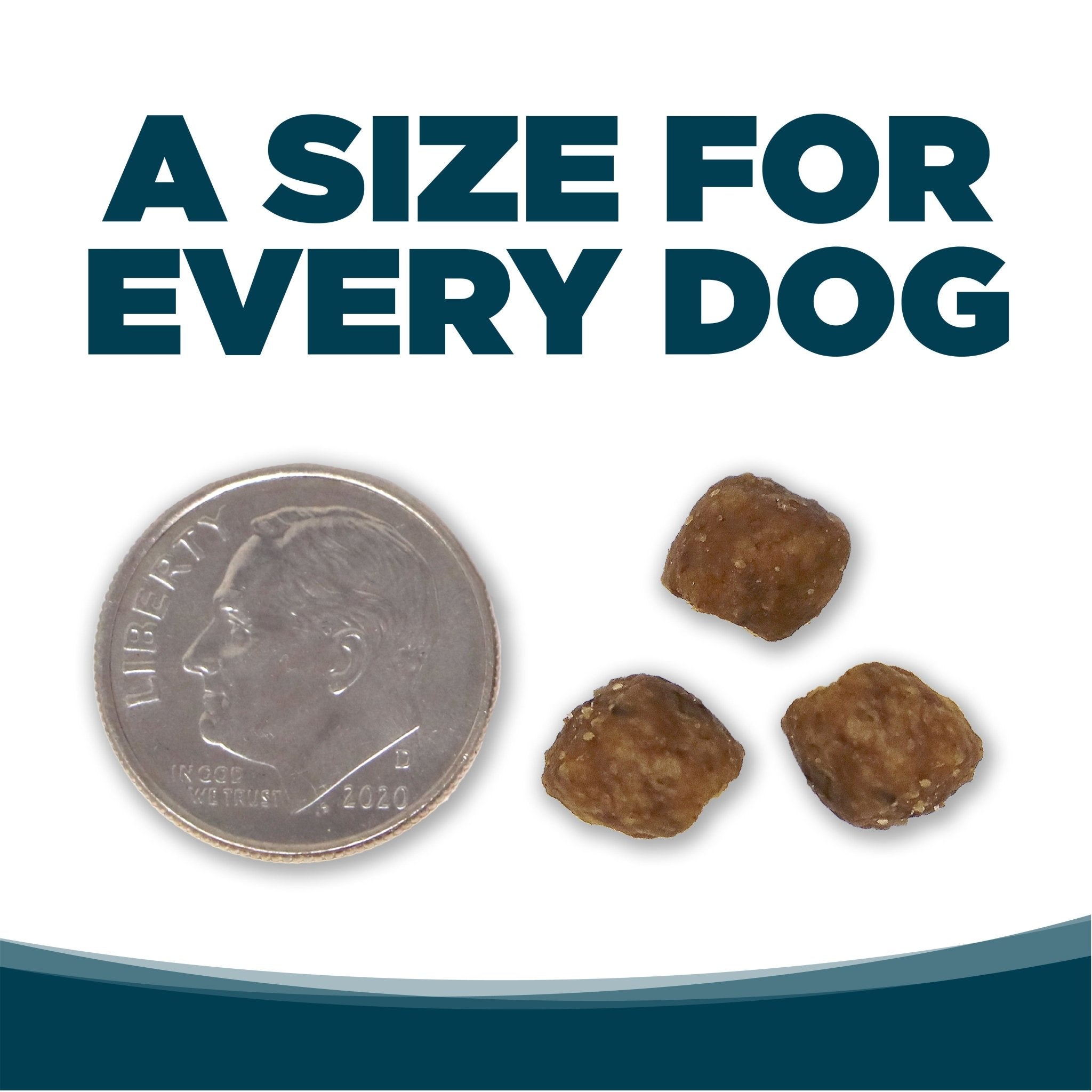 Adult Chicken & Rice Small Bites - Eva Pet - NutriSource