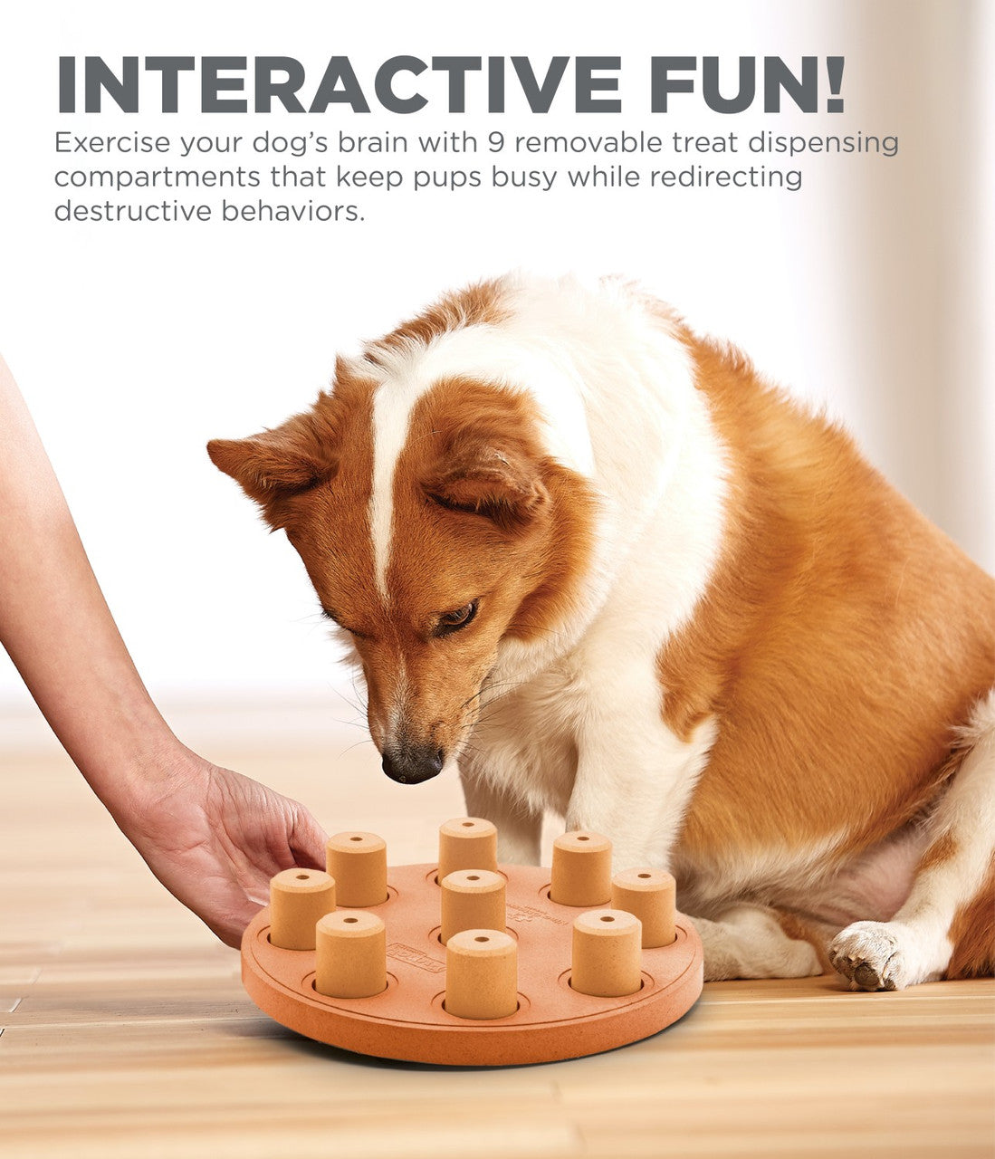 Dog Smart Composite Interactive Treat Puzzle Dog Toy, Orange