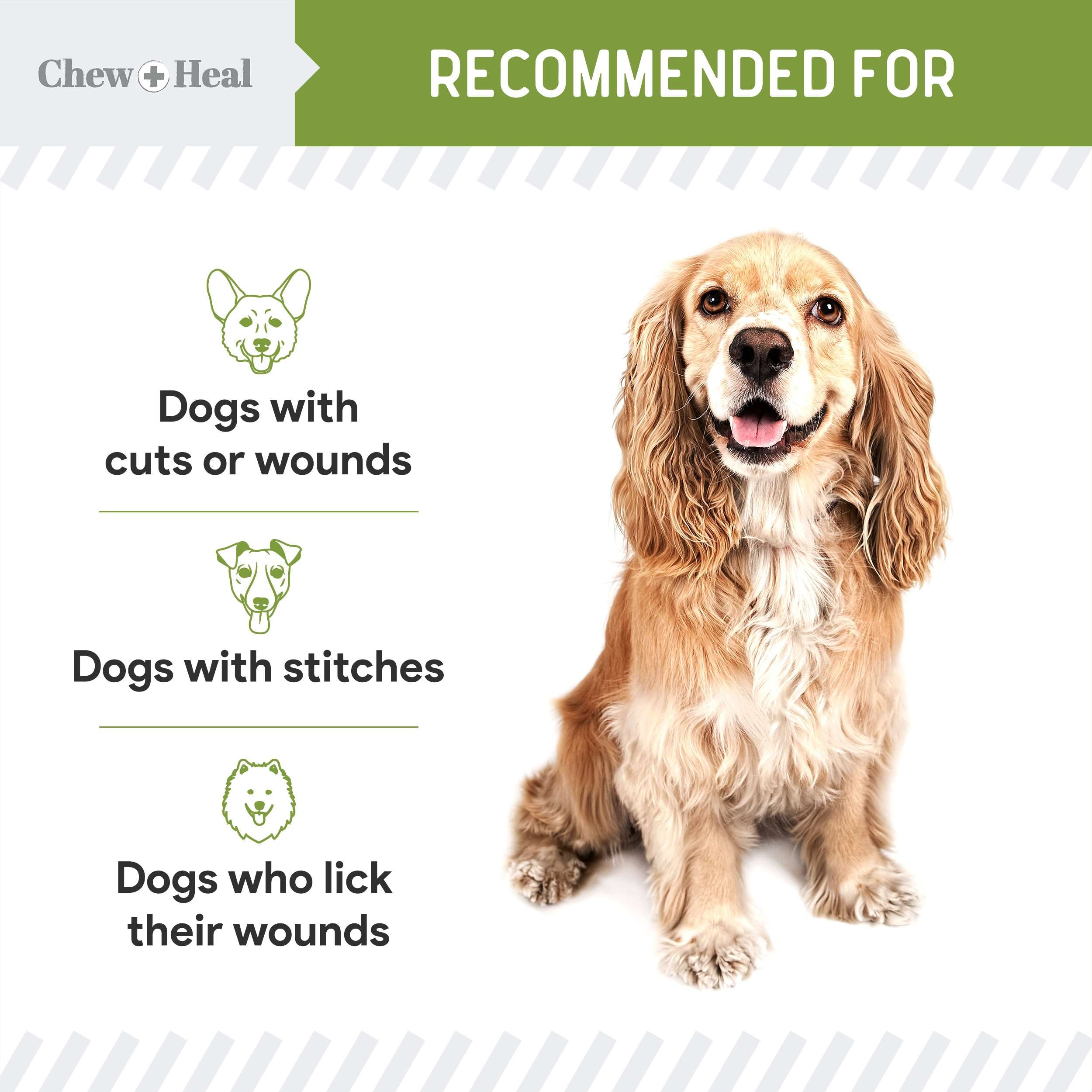 Liquid Bandage for Dogs