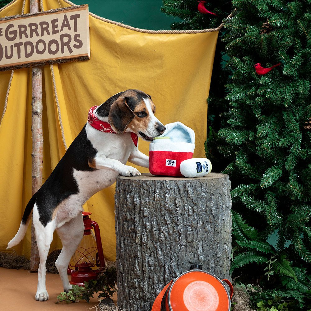 Bark Sub - Zero Camping Hero - Eva Pet - BARK