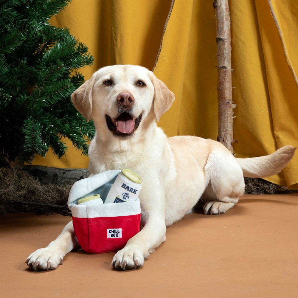 Bark Sub - Zero Camping Hero - Eva Pet - BARK