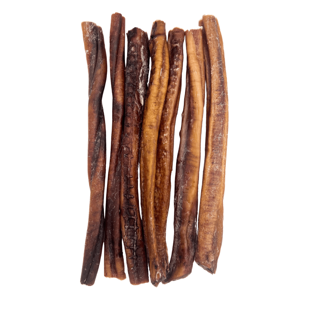 Beef Bully Stick 6" | 12" | Standard | Thick - Eva Pet - Bark'NBig