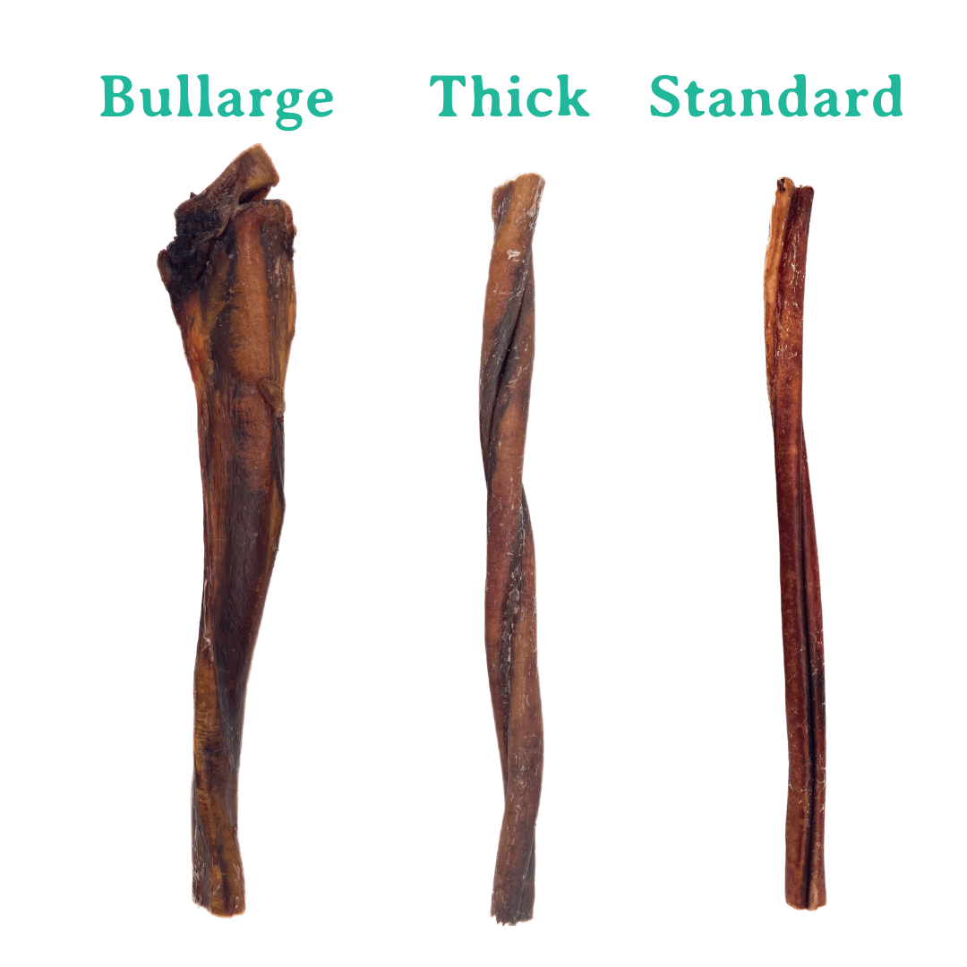 Beef Bully Stick 6" | 12" | Standard | Thick - Eva Pet - Bark'NBig