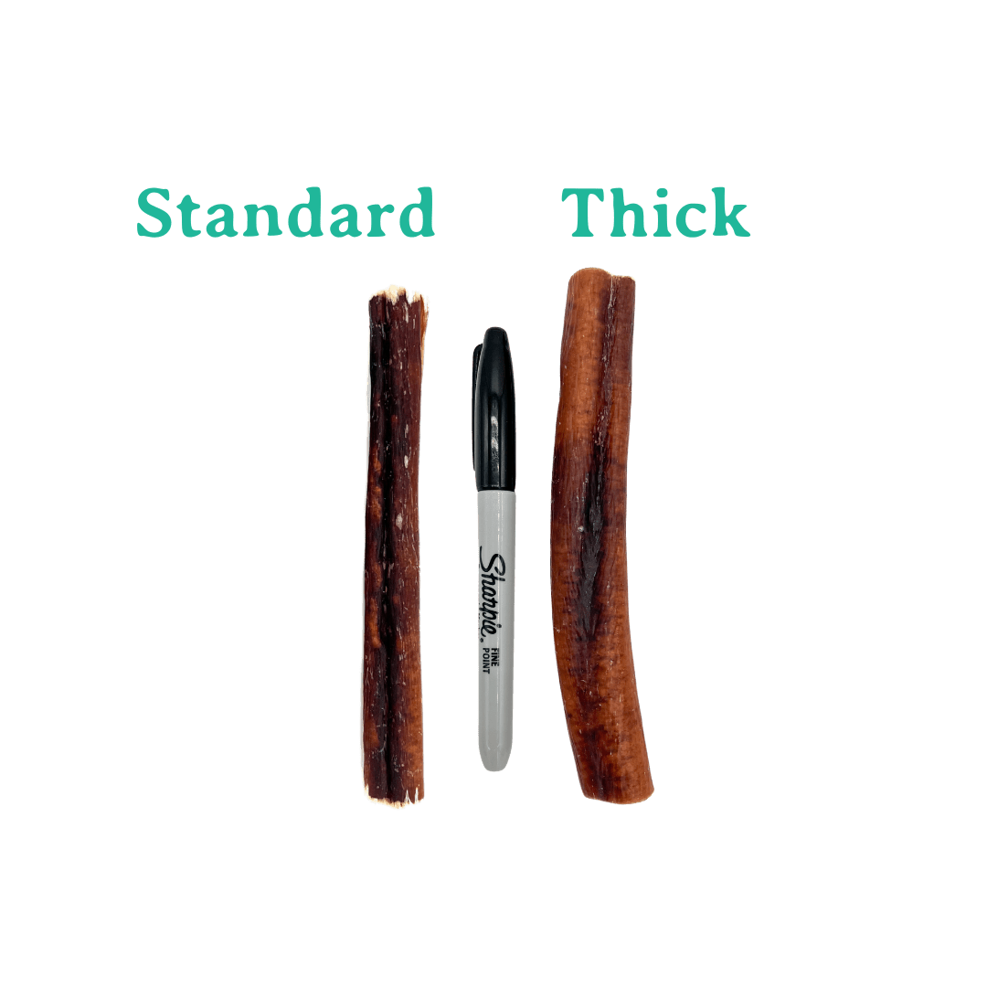 Beef Bully Stick 6" | 12" | Standard | Thick - Eva Pet - Bark'NBig