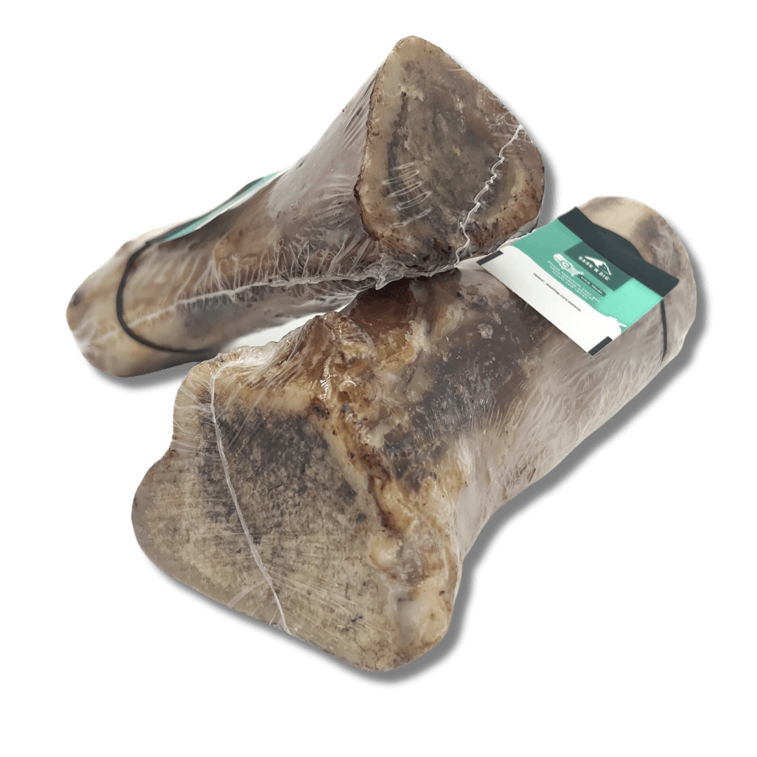 Beef Marrow Bone 6" | 3" - Eva Pet - Bark'NBig