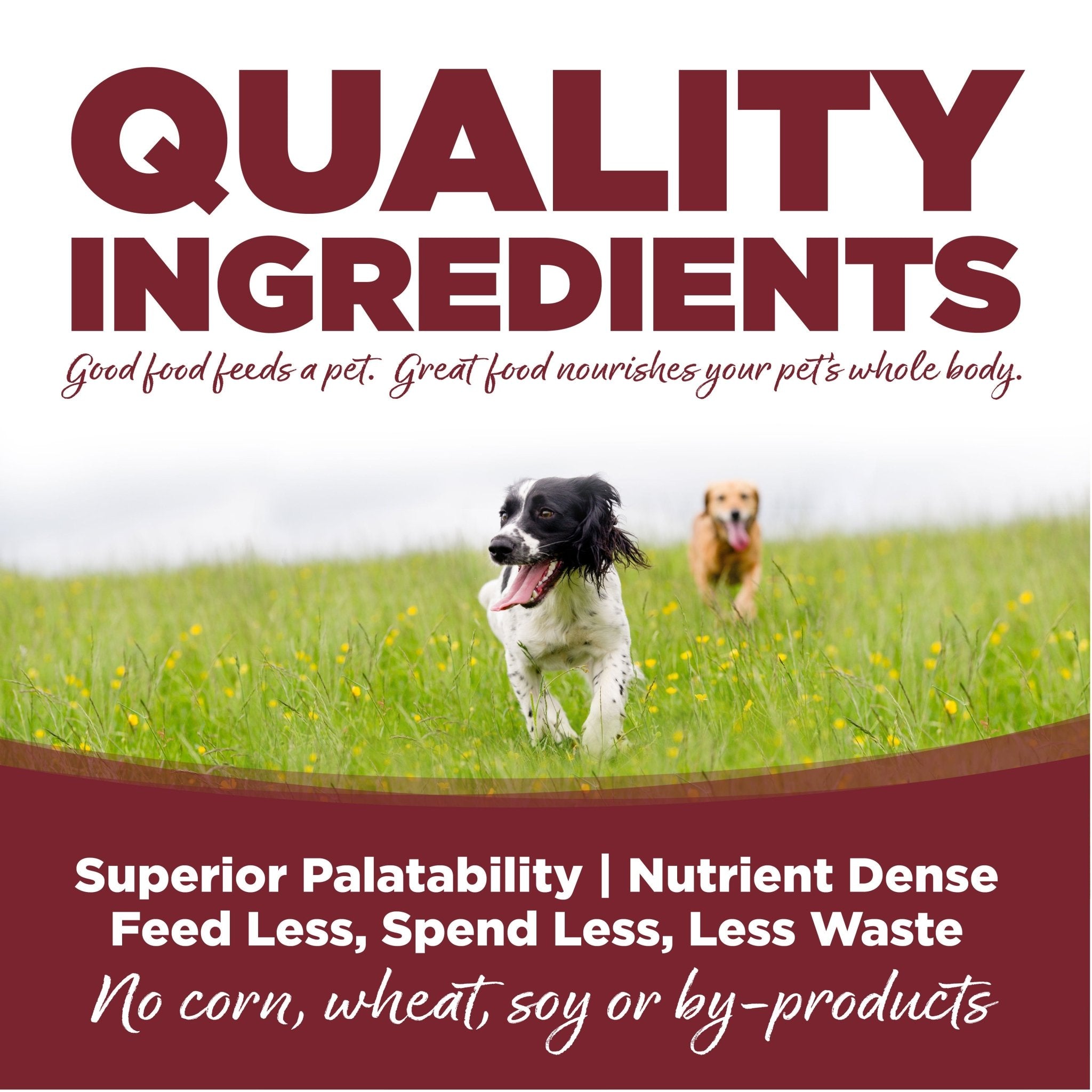 Beef & Rice - Eva Pet - NutriSource