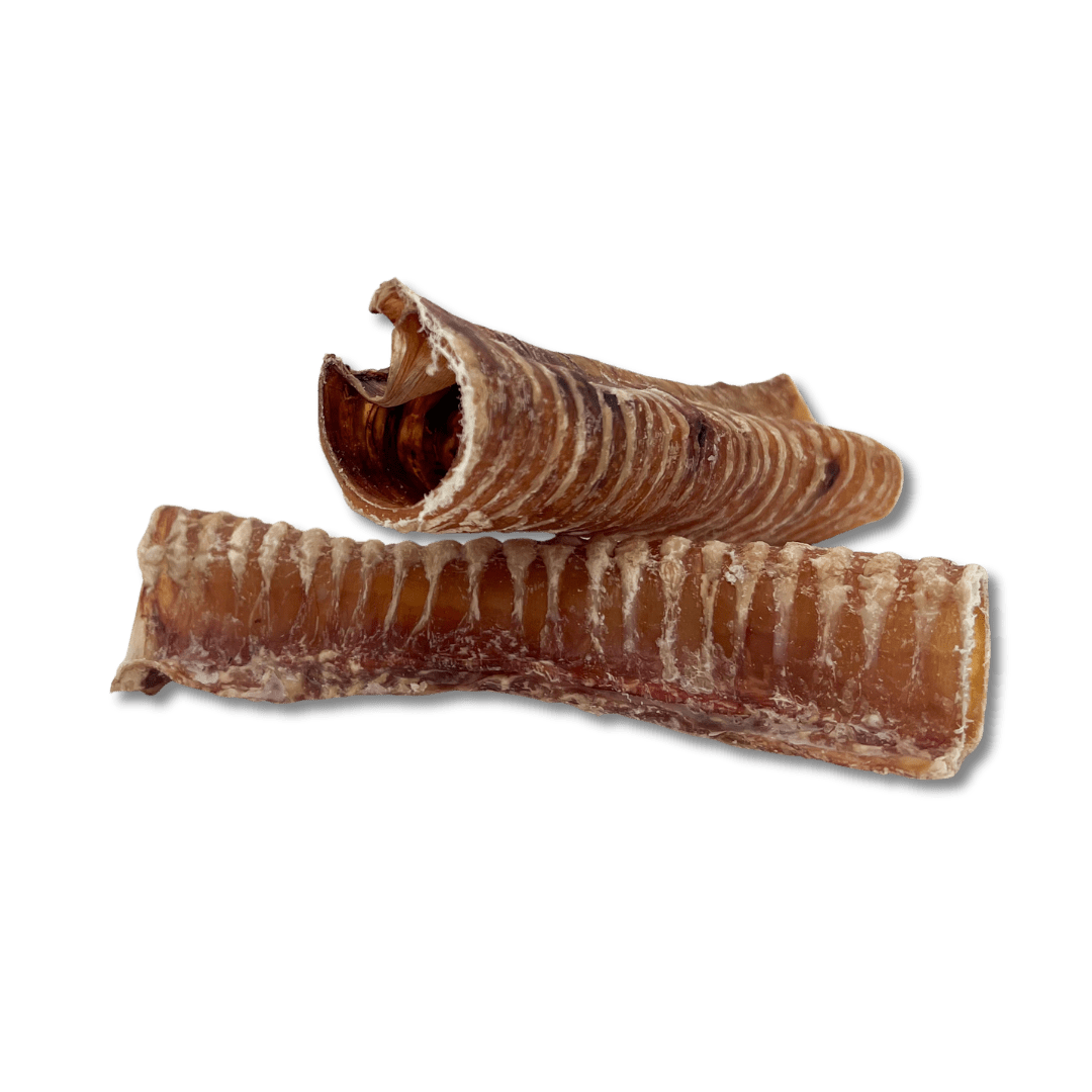 Beef Trachea 6" | 12" - Eva Pet - Bark'NBig