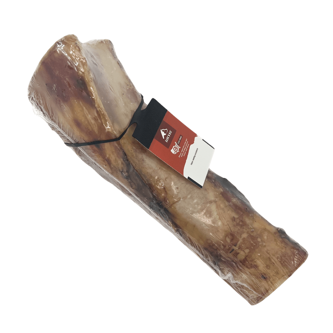 Bison Marrow Bone 6" | 3" - Eva Pet - Bark'NBig