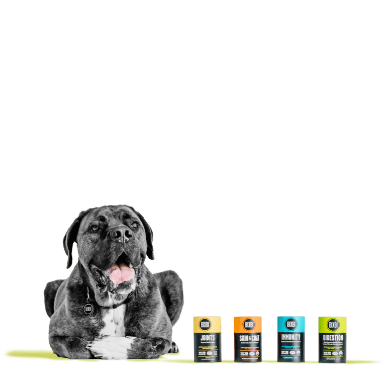 BIXBI® Digestion Supplement - Eva Pet - Bixbi