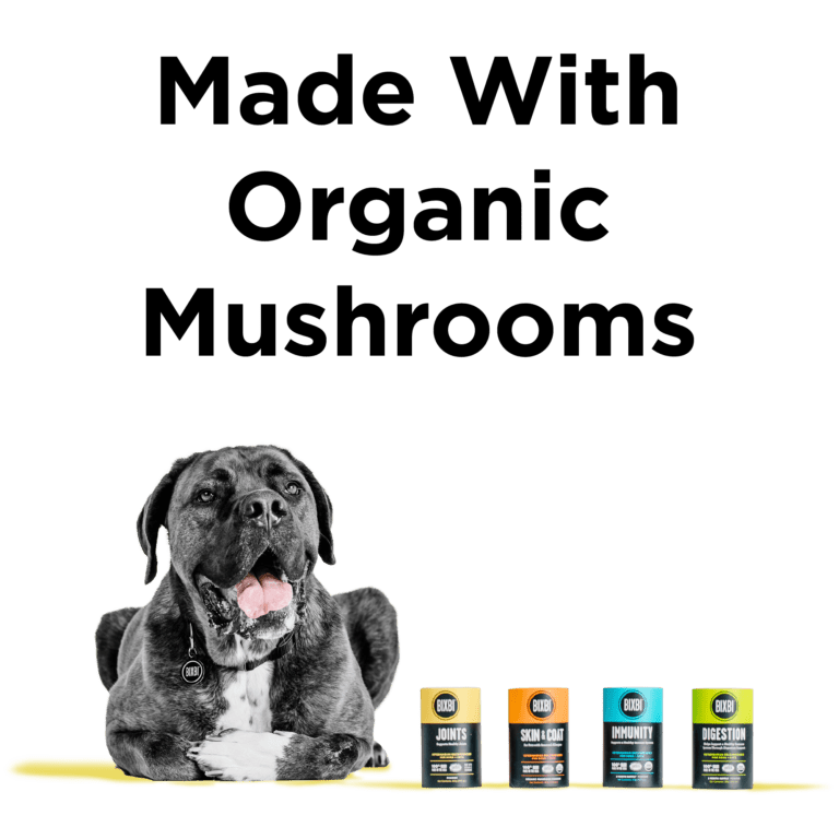 BIXBI® Joint Supplement - Eva Pet - Bixbi
