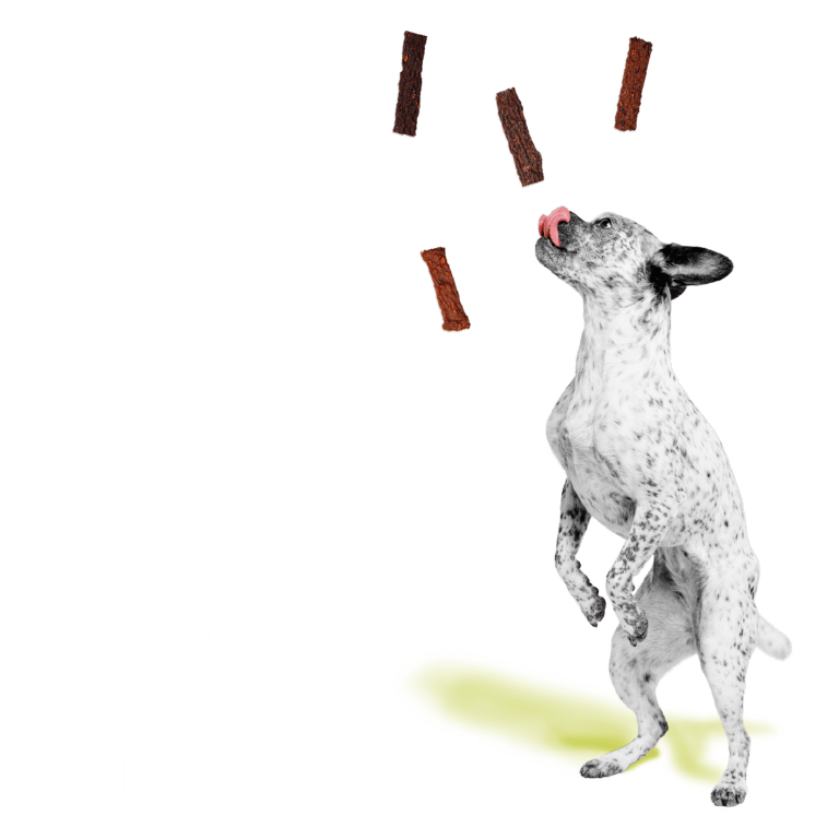 BIXBI® Original Jerky Treats for Dogs – Beef Lung Recipe - Eva Pet - Bixbi