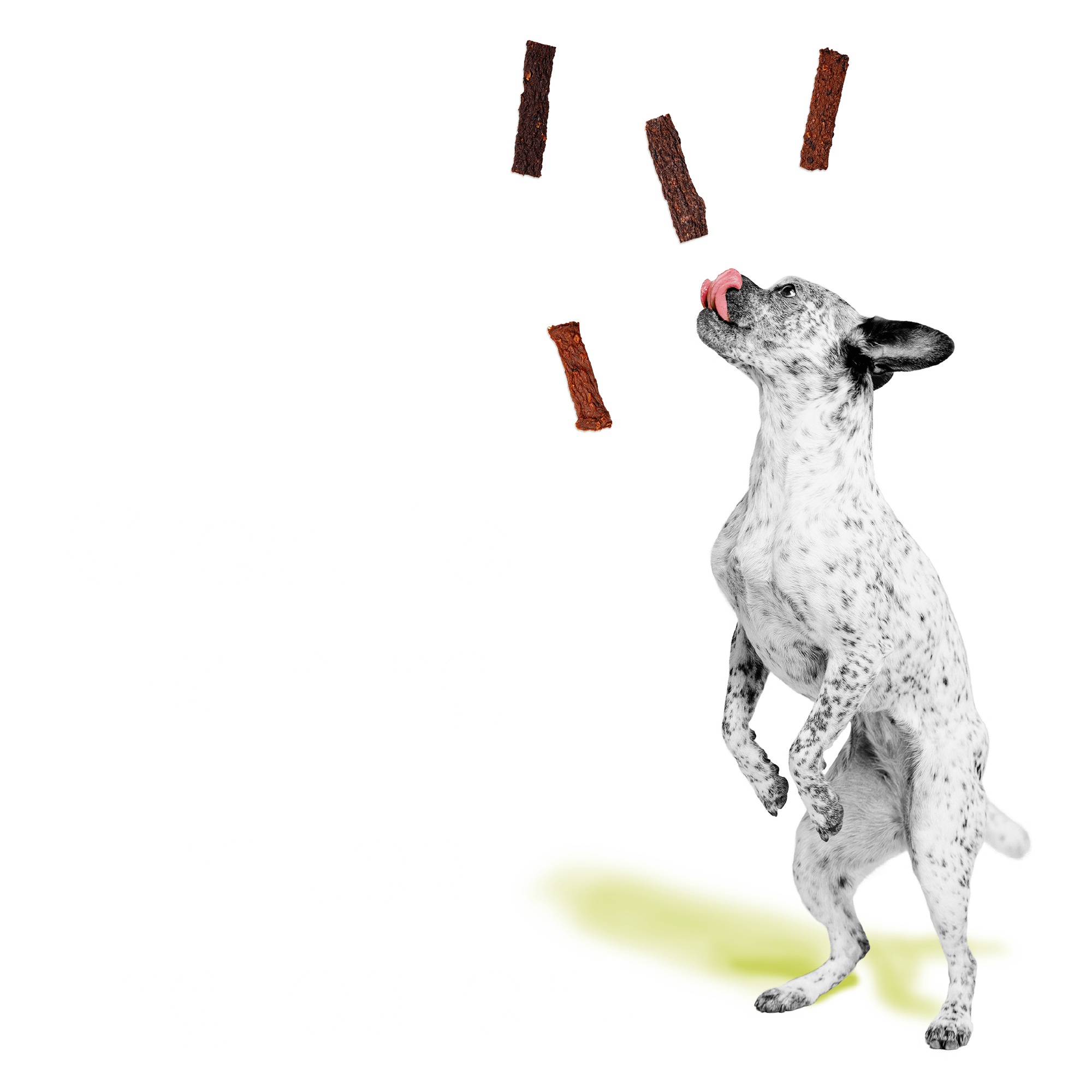 BIXBI® Original Jerky Treats for Dogs – Chicken Recipe - Eva Pet - Bixbi