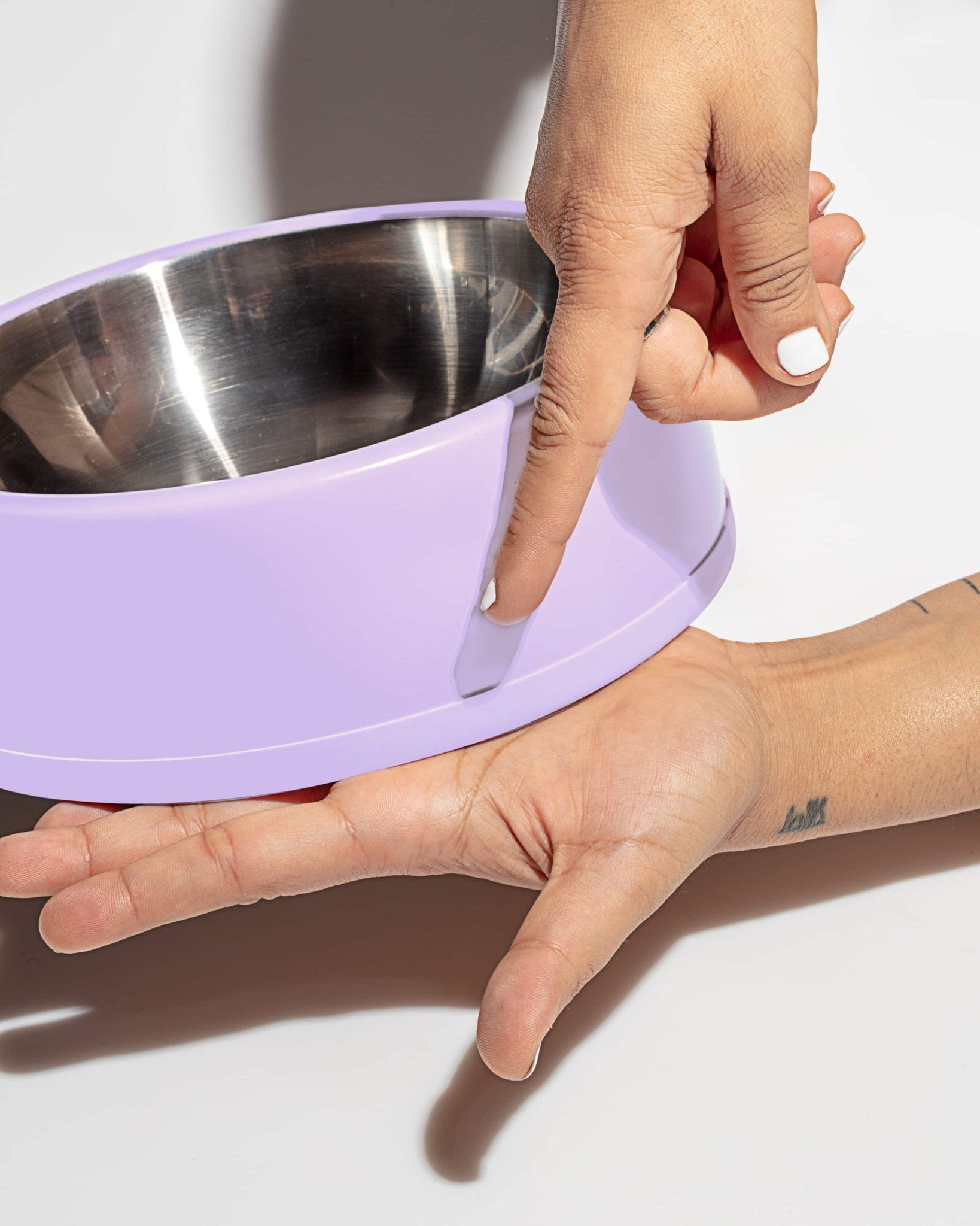 Bowl Kit - Eva Pet - Wild One