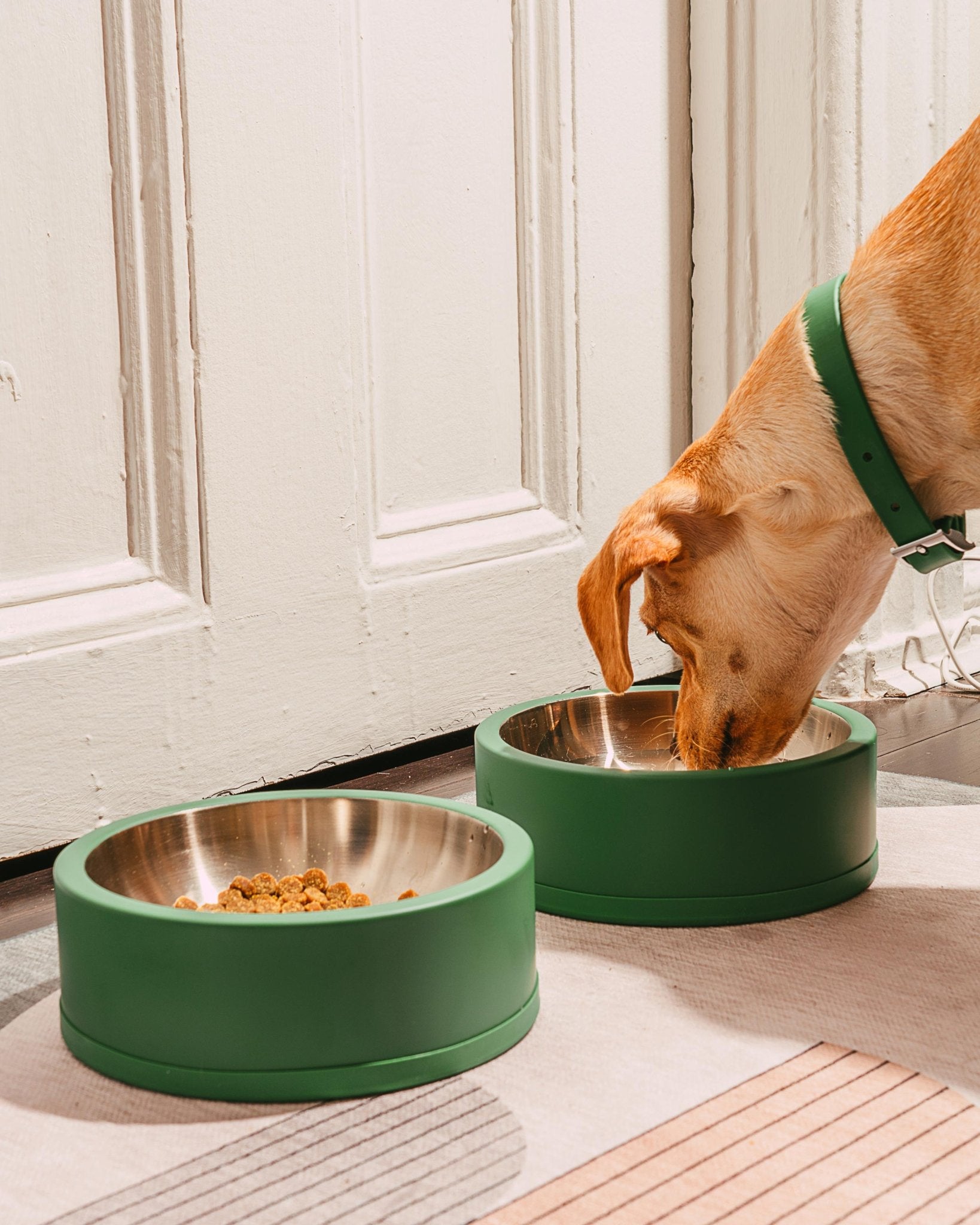 Bowl Kit - Eva Pet - Wild One