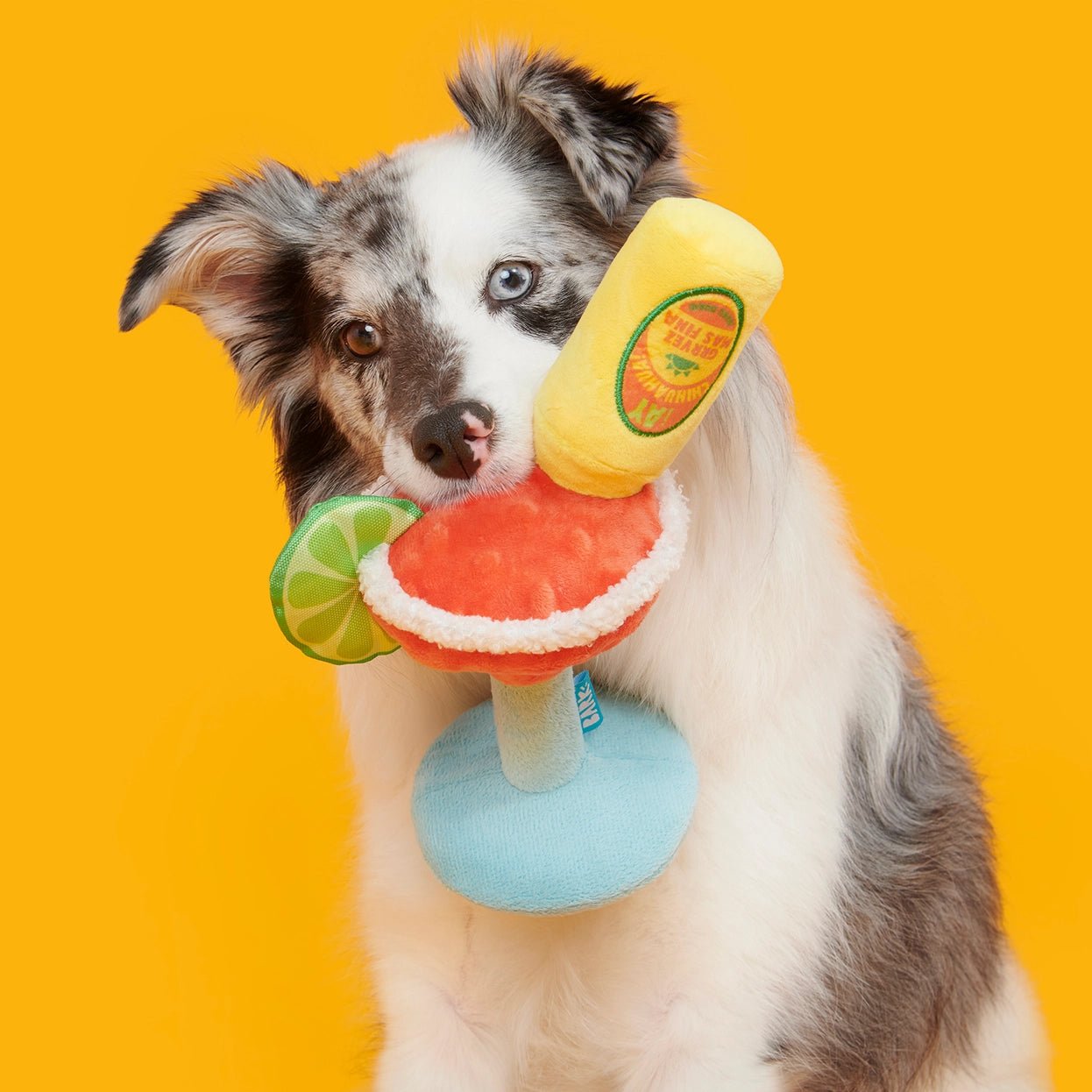 Bulldog Barkarita Plush Dog Toy - Eva Pet - BARK