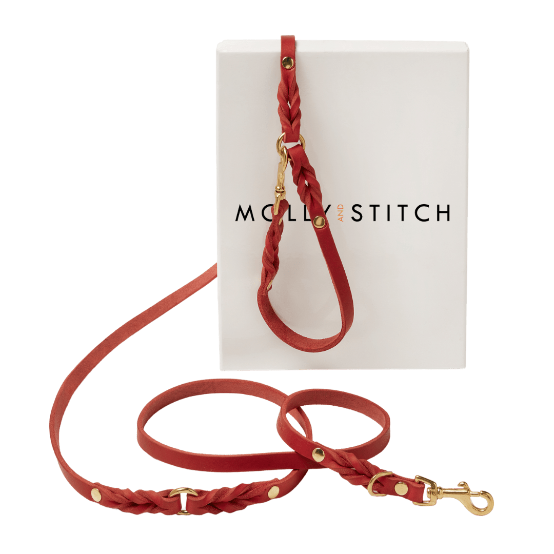 Butter Leather 3x Adjustable Dog Leash - Chili Red - Eva Pet - mollyandstitchus