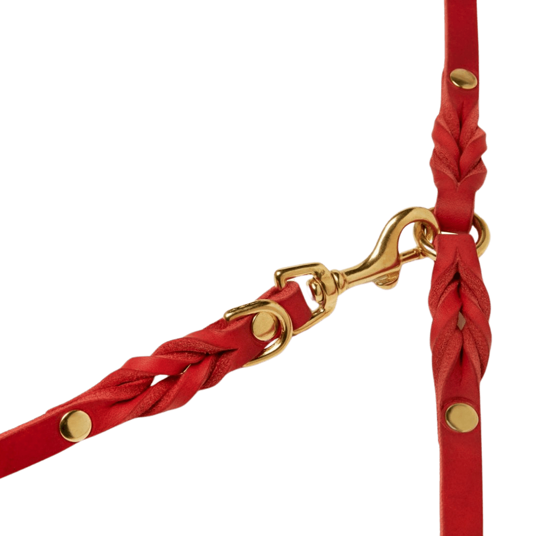 Butter Leather 3x Adjustable Dog Leash - Chili Red - Eva Pet - mollyandstitchus