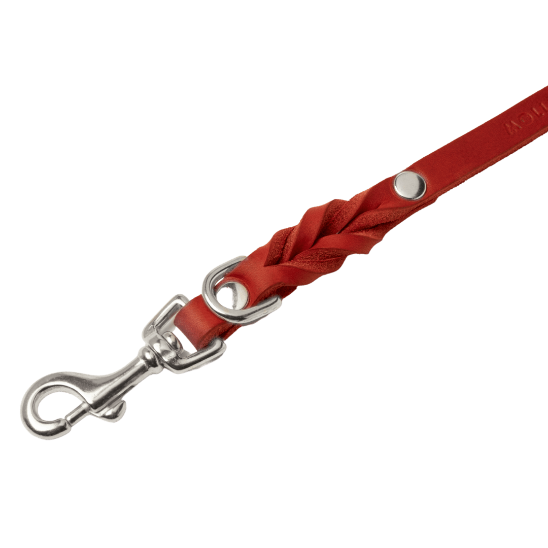 Butter Leather 3x Adjustable Dog Leash - Chili Red - Eva Pet - mollyandstitchus