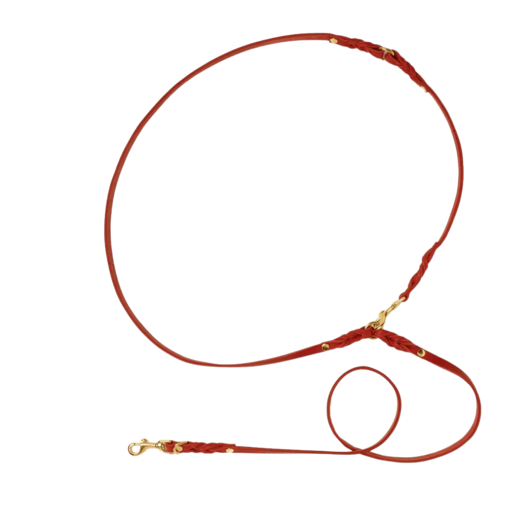 Butter Leather 3x Adjustable Dog Leash - Chili Red - Eva Pet - mollyandstitchus