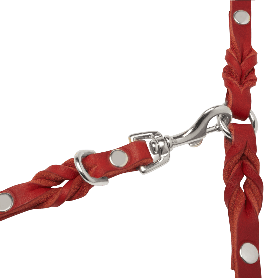 Butter Leather 3x Adjustable Dog Leash - Chili Red - Eva Pet - mollyandstitchus
