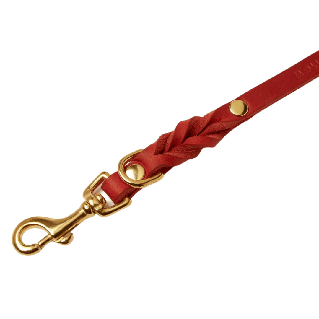 Butter Leather 3x Adjustable Dog Leash - Chili Red - Eva Pet - mollyandstitchus