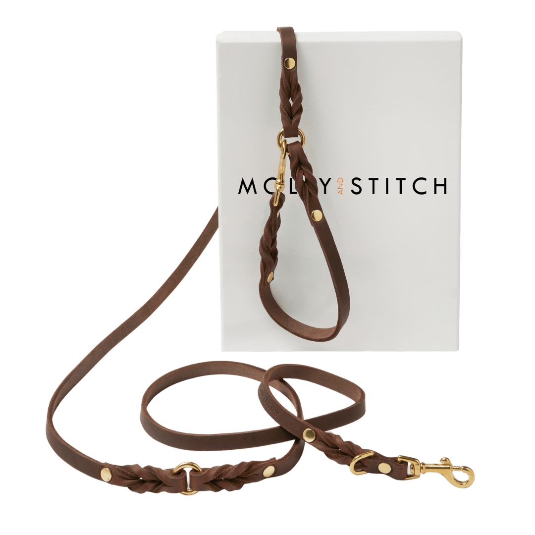 Butter Leather 3x Adjustable Dog Leash - Classic Brown - Eva Pet - mollyandstitchus