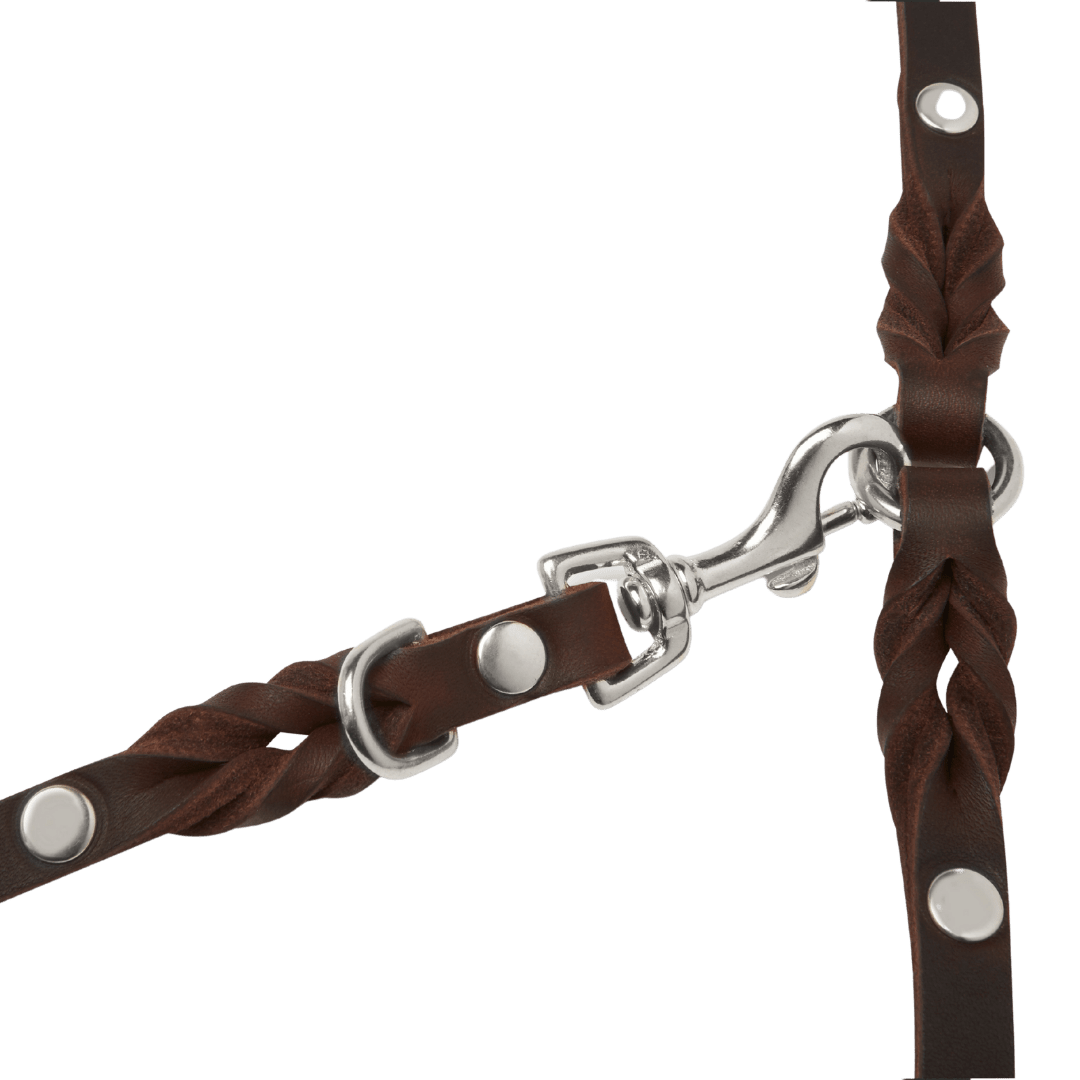 Butter Leather 3x Adjustable Dog Leash - Classic Brown - Eva Pet - mollyandstitchus