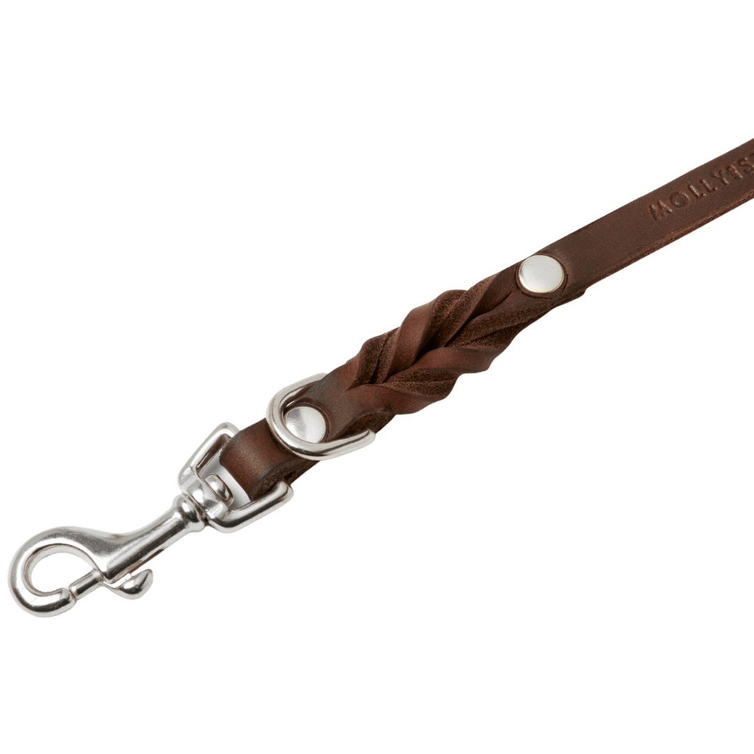 Butter Leather 3x Adjustable Dog Leash - Classic Brown - Eva Pet - mollyandstitchus
