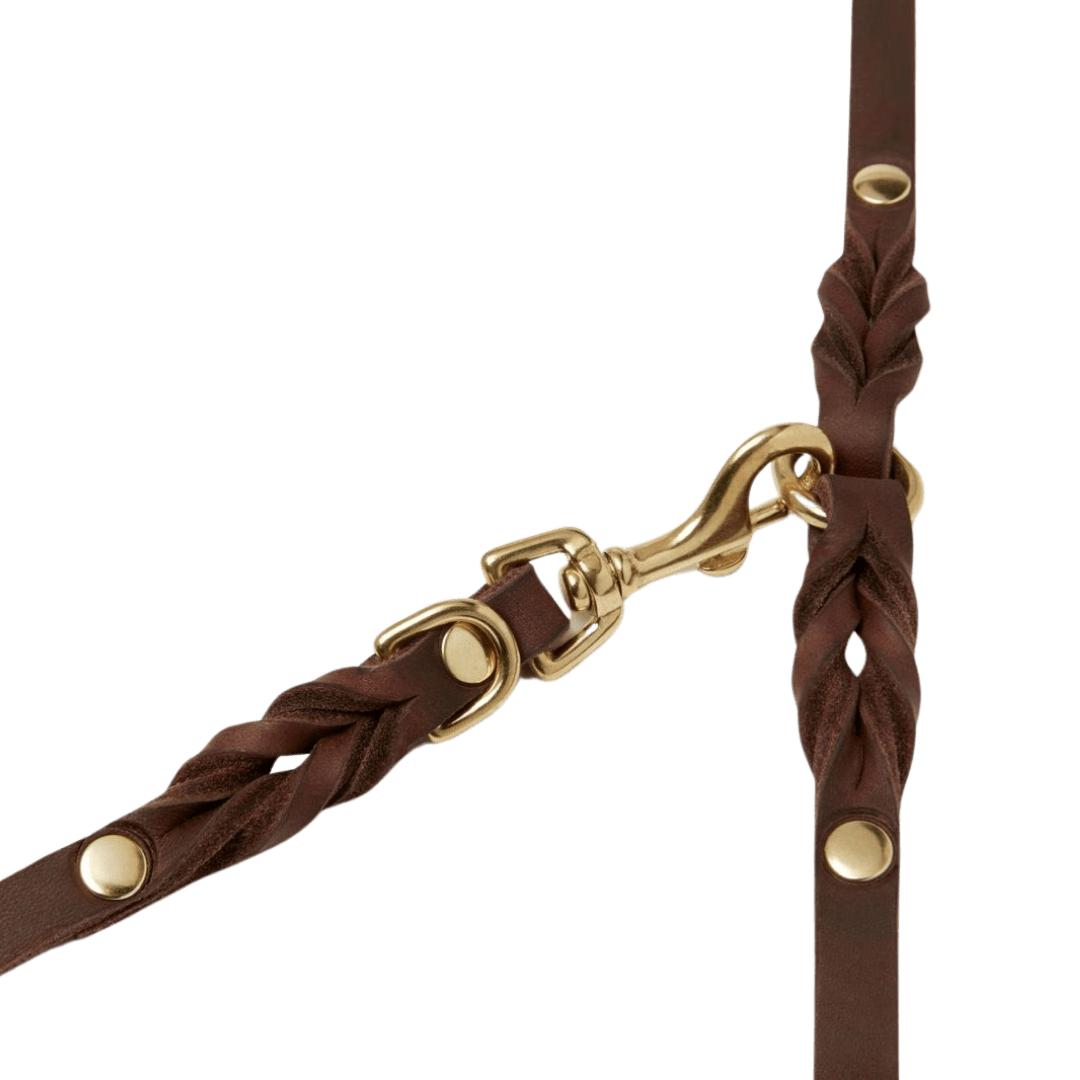 Butter Leather 3x Adjustable Dog Leash - Classic Brown - Eva Pet - mollyandstitchus
