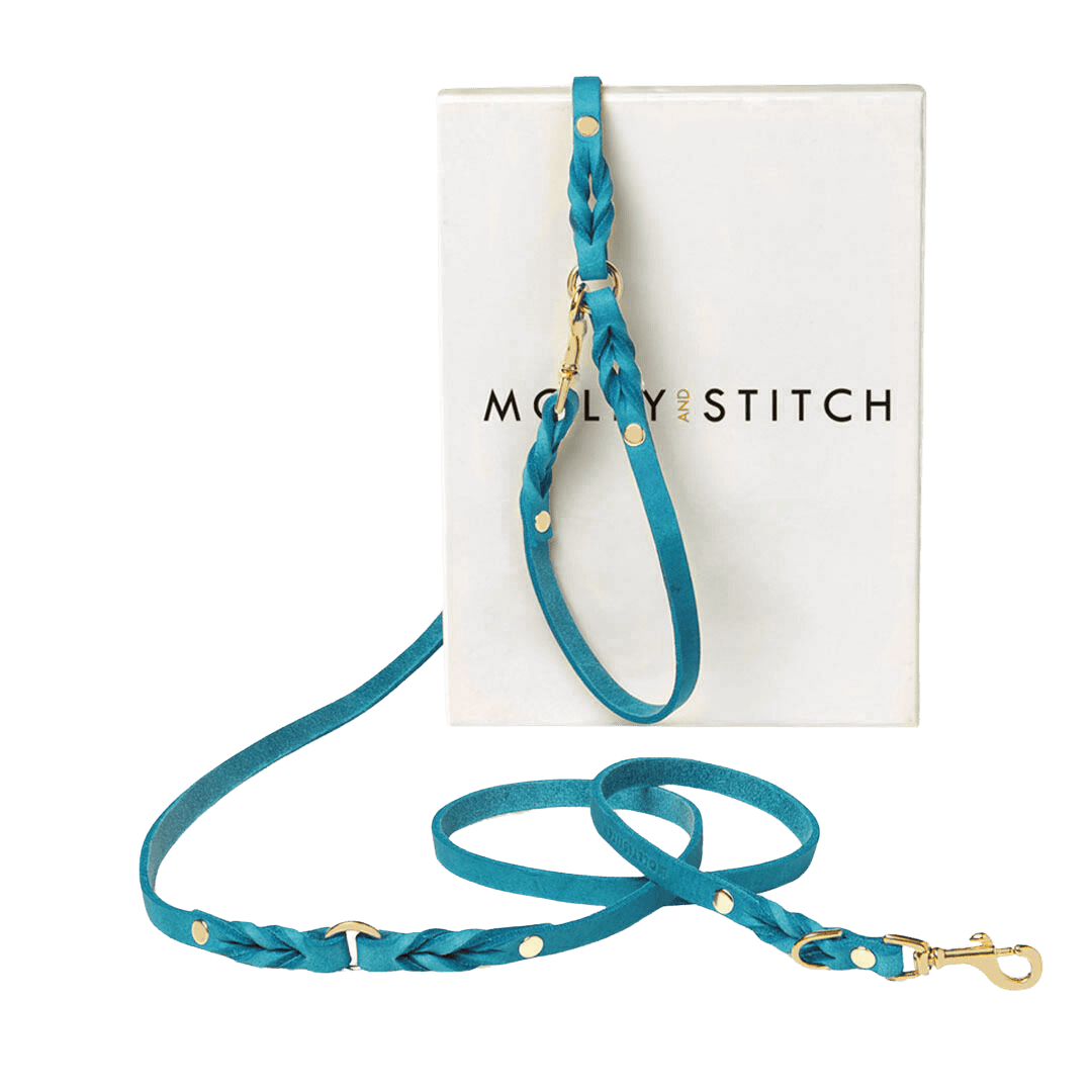 Butter Leather 3x Adjustable Dog Leash - Fiji - Eva Pet - mollyandstitchus