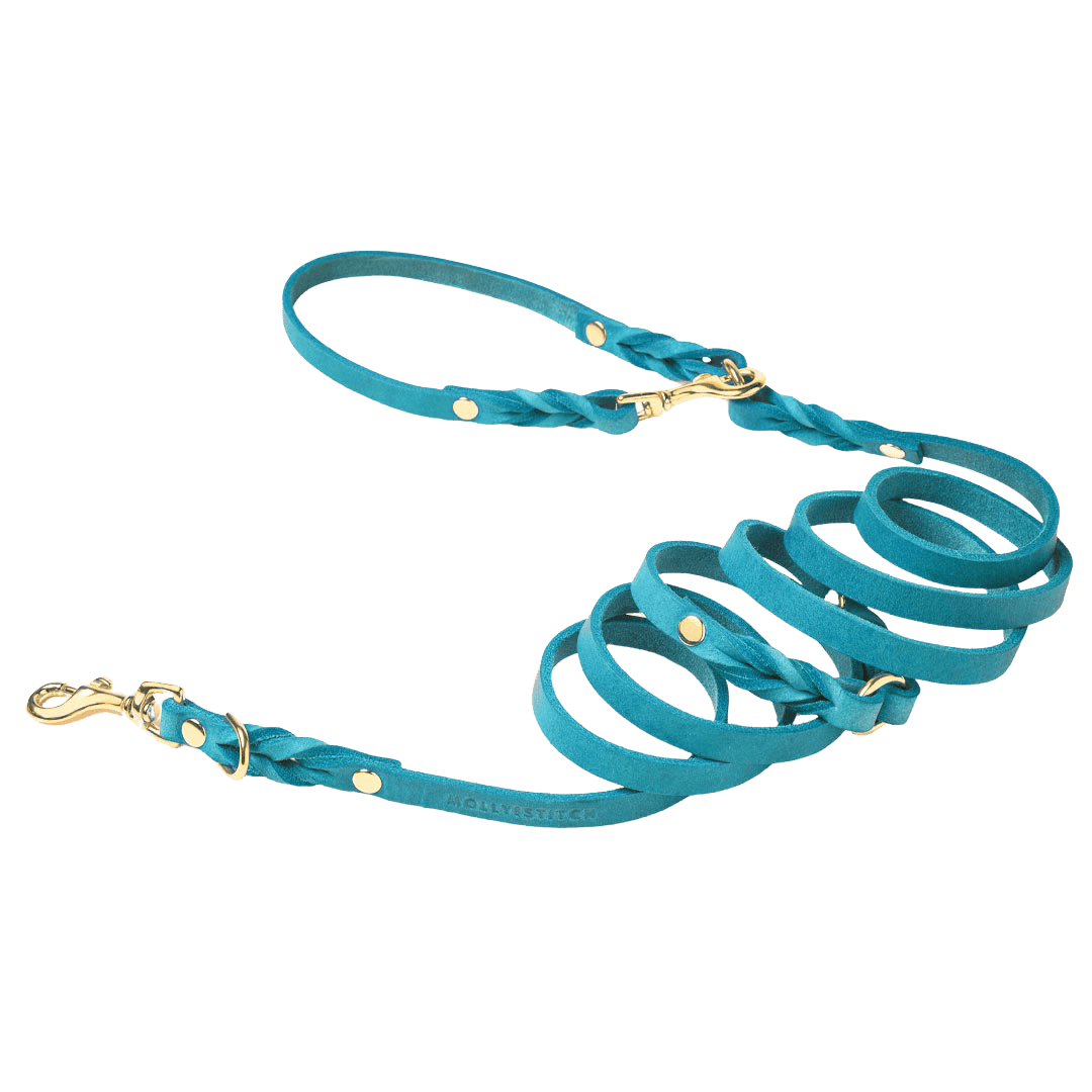 Butter Leather 3x Adjustable Dog Leash - Fiji - Eva Pet - mollyandstitchus