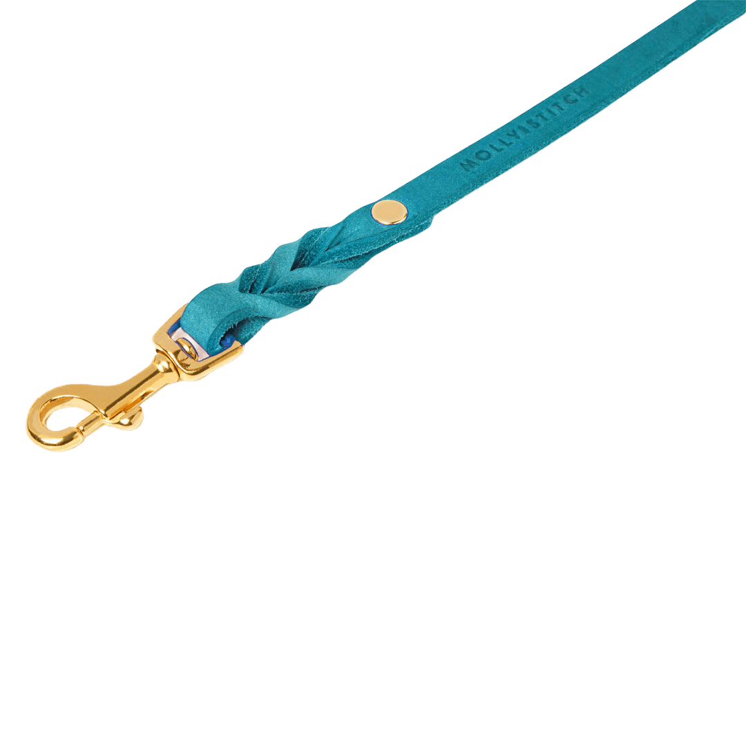 Butter Leather 3x Adjustable Dog Leash - Fiji - Eva Pet - mollyandstitchus