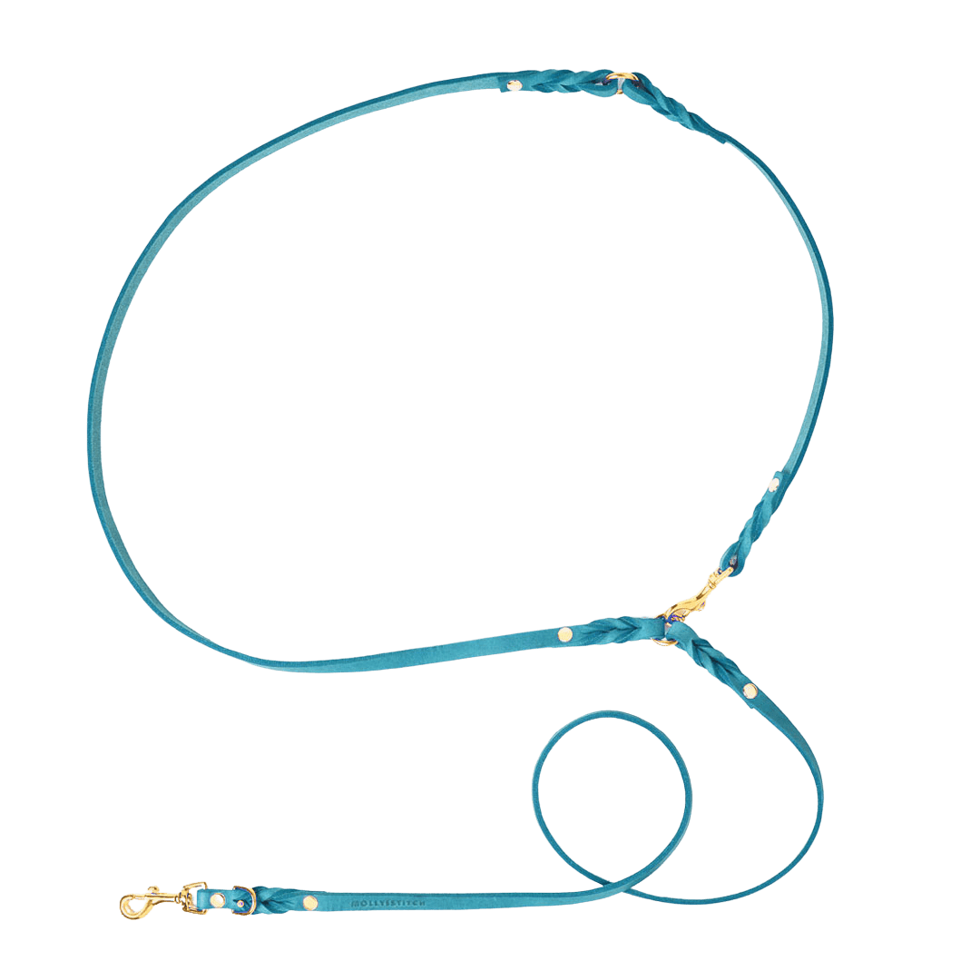Butter Leather 3x Adjustable Dog Leash - Fiji - Eva Pet - mollyandstitchus