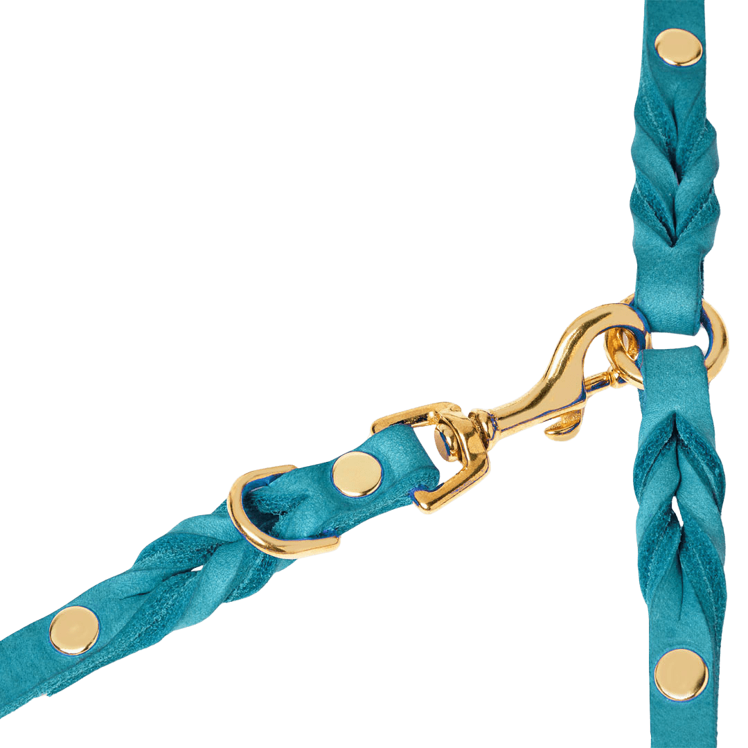Butter Leather 3x Adjustable Dog Leash - Fiji - Eva Pet - mollyandstitchus