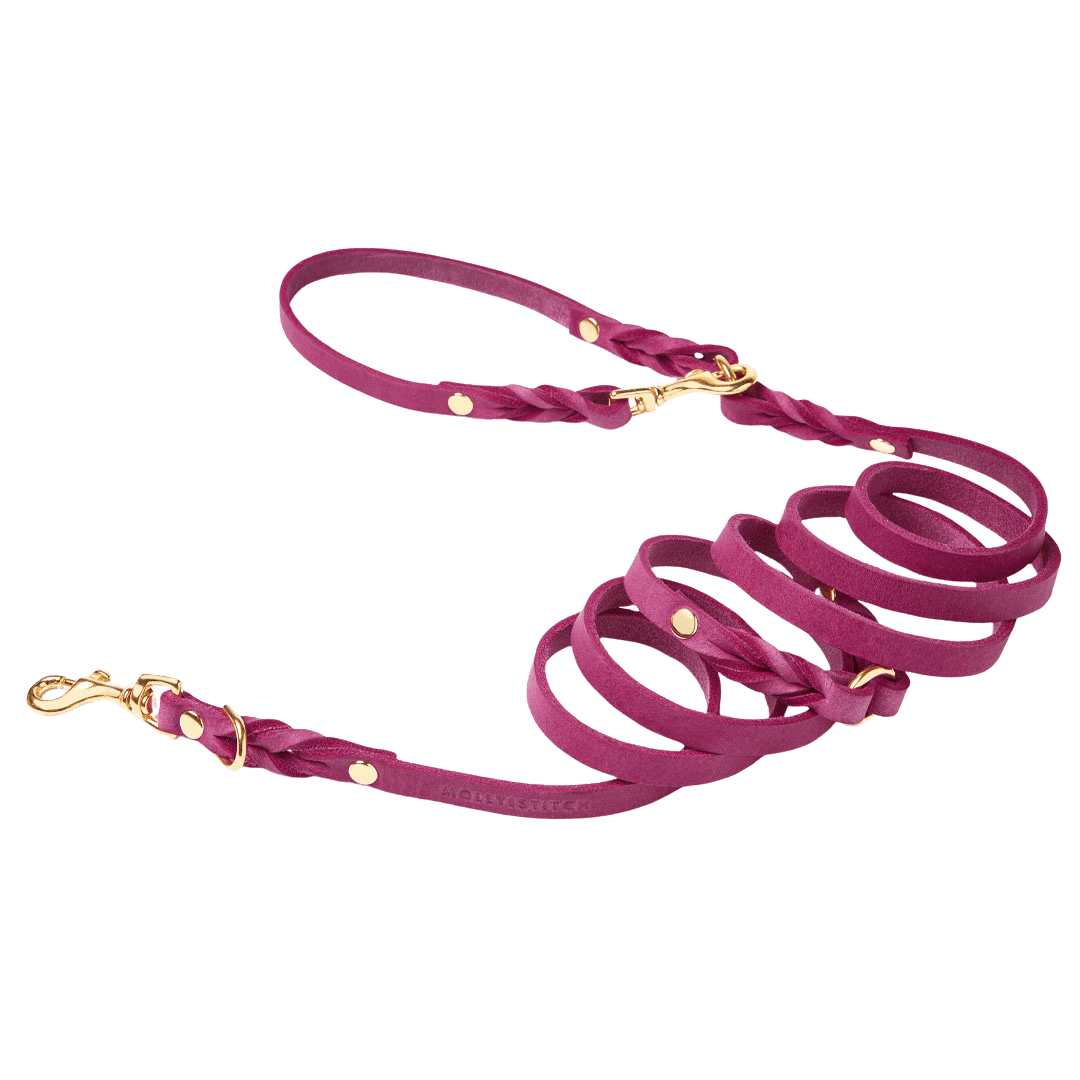 Butter Leather 3x Adjustable Dog Leash - Flamingo - Eva Pet - mollyandstitchus