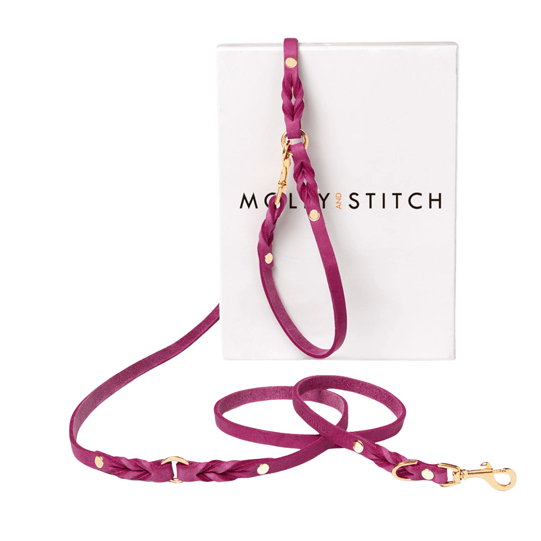 Butter Leather 3x Adjustable Dog Leash - Flamingo - Eva Pet - mollyandstitchus