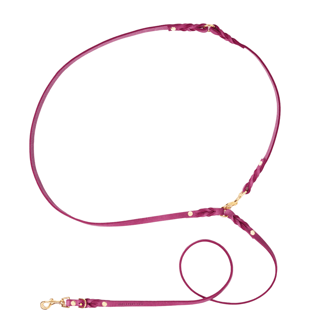 Butter Leather 3x Adjustable Dog Leash - Flamingo - Eva Pet - mollyandstitchus