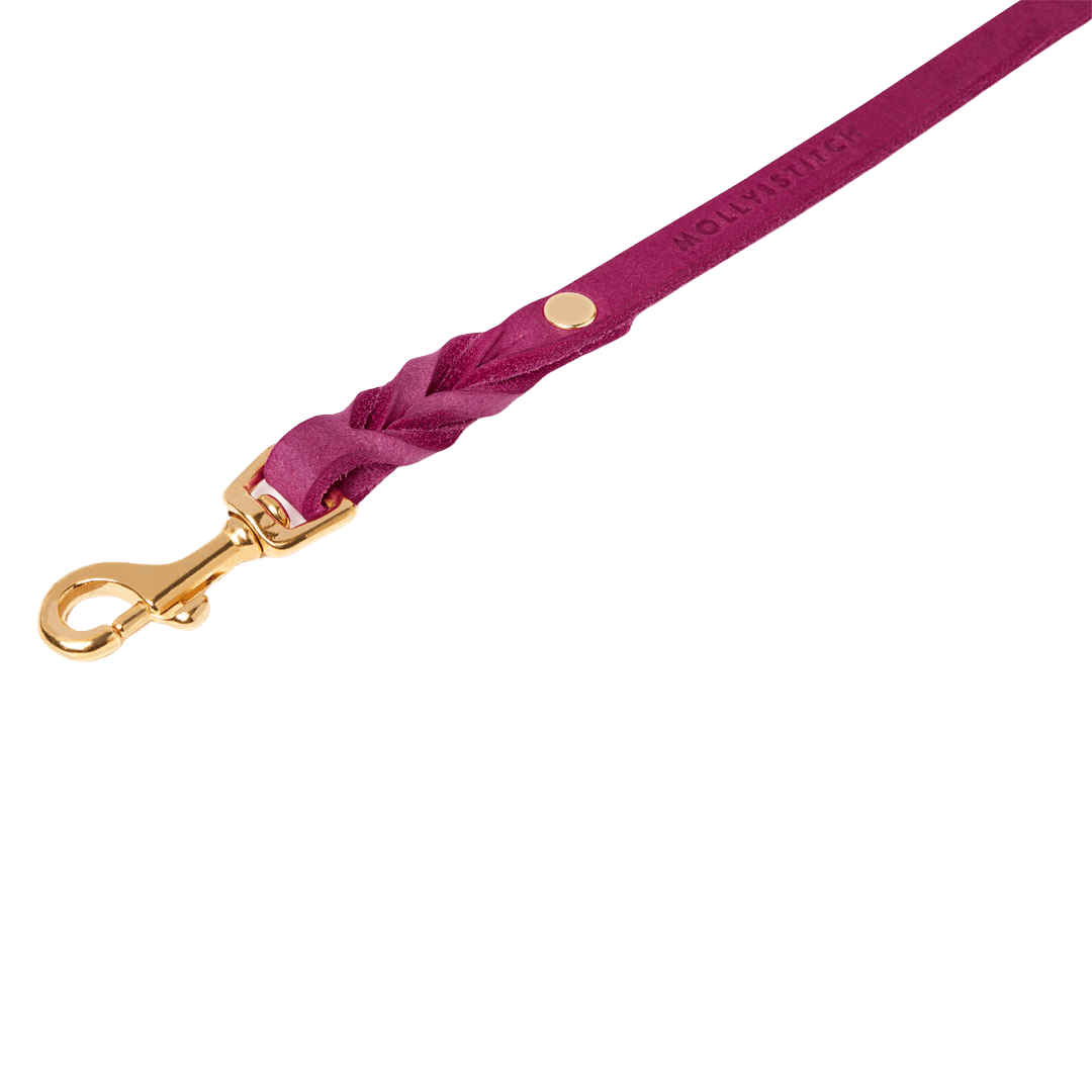 Butter Leather 3x Adjustable Dog Leash - Flamingo - Eva Pet - mollyandstitchus