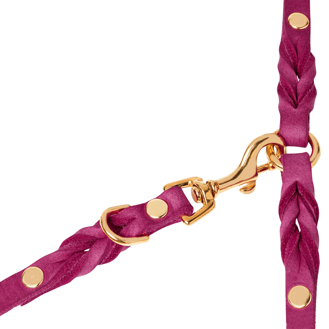 Butter Leather 3x Adjustable Dog Leash - Flamingo - Eva Pet - mollyandstitchus