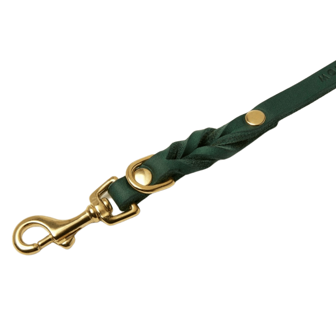 Butter Leather 3x Adjustable Dog Leash - Forest Green - Eva Pet - mollyandstitchus