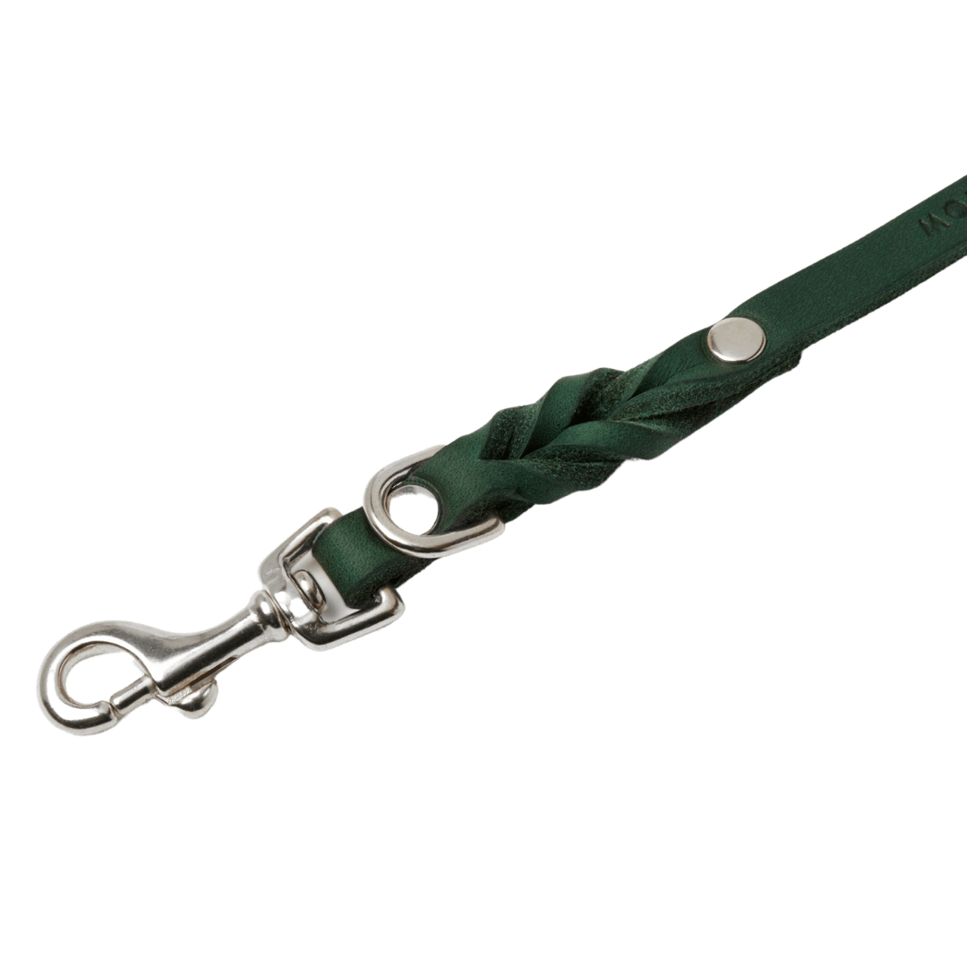 Butter Leather 3x Adjustable Dog Leash - Forest Green - Eva Pet - mollyandstitchus